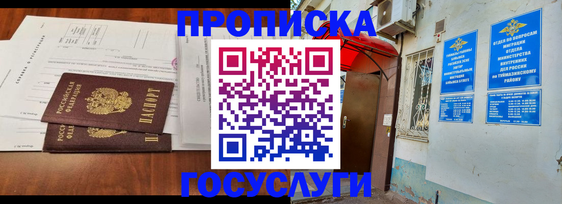 прописка в квартире в Нововоронеже